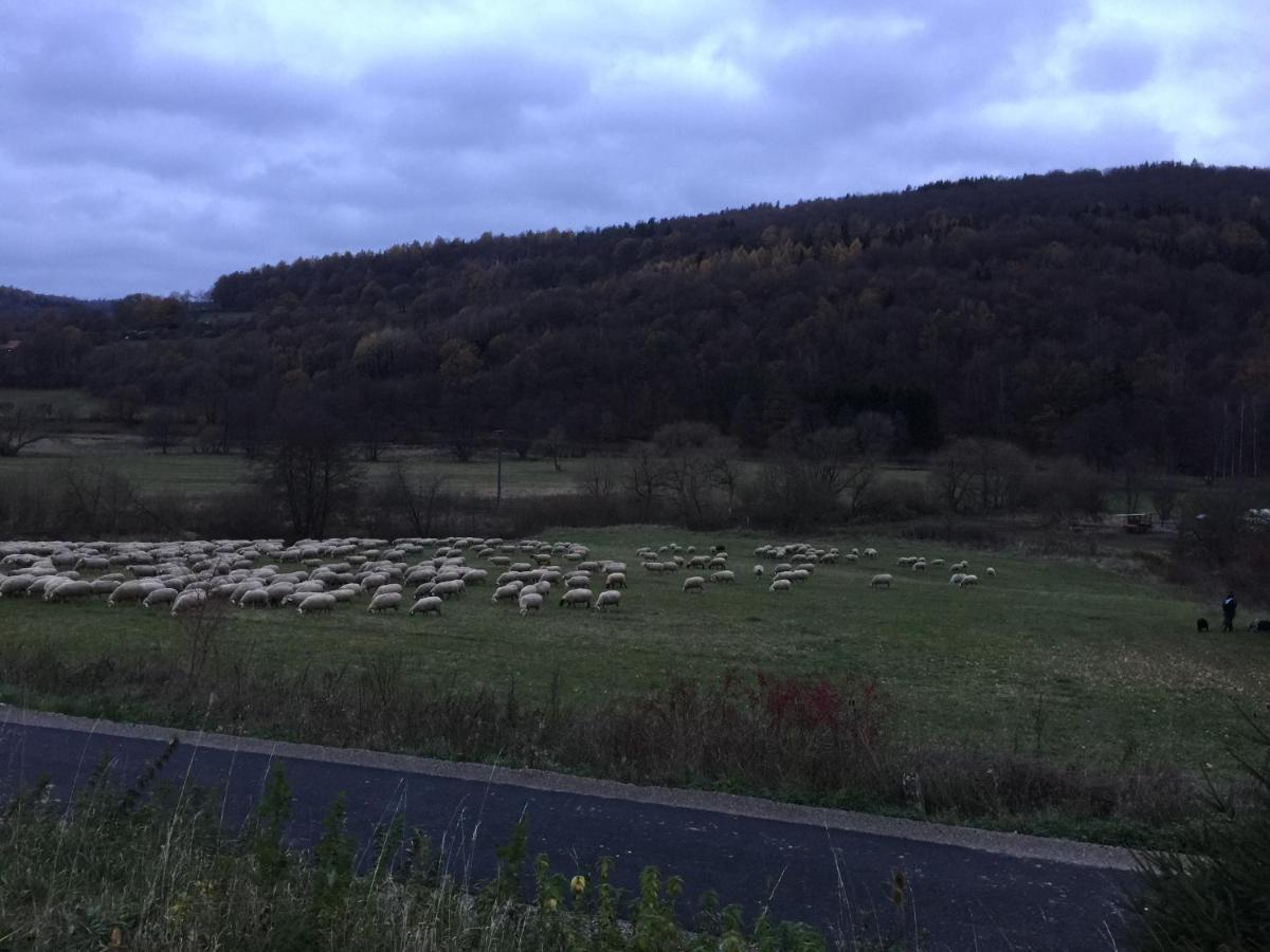 Landhotel Weisses Ross Garni Bad Brückenau 외부 사진